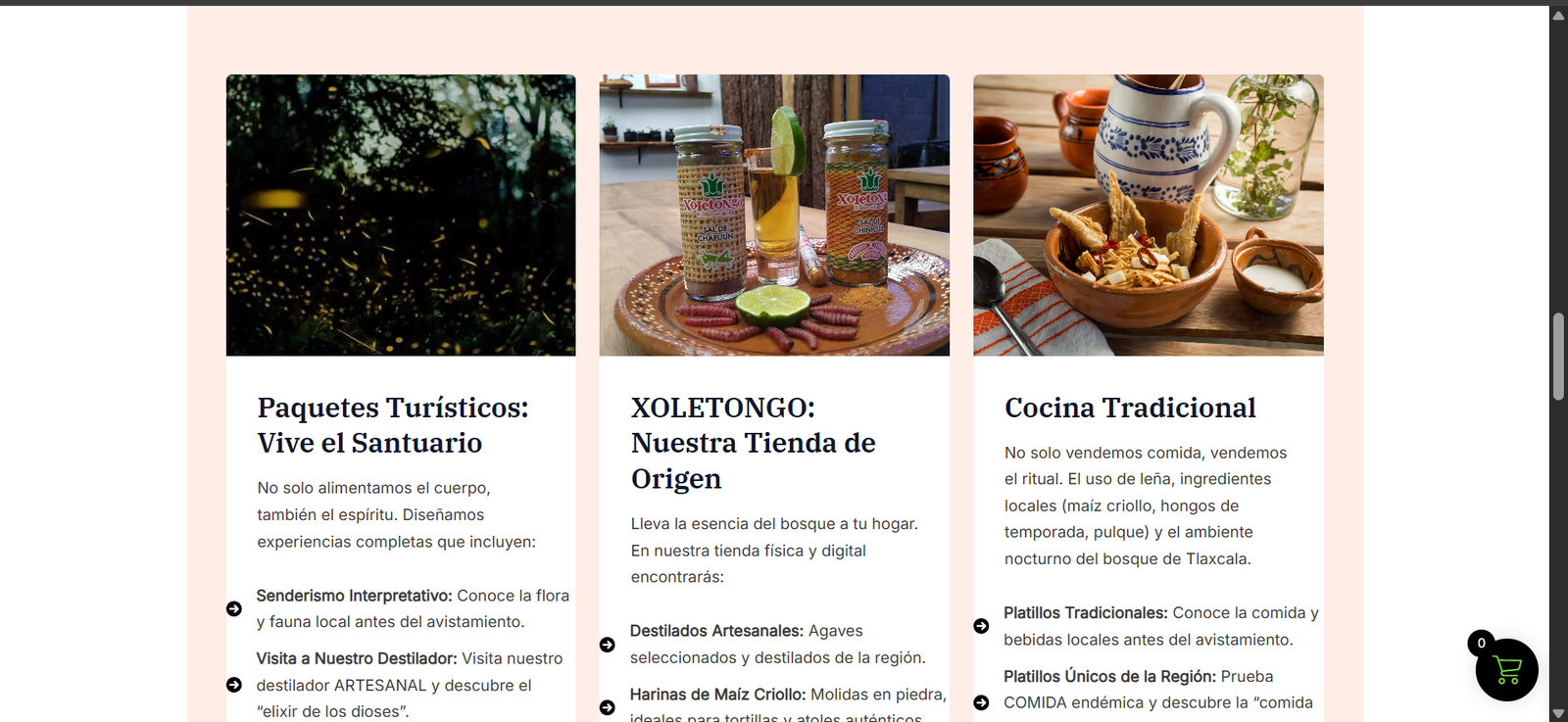 Cocina — Servicios