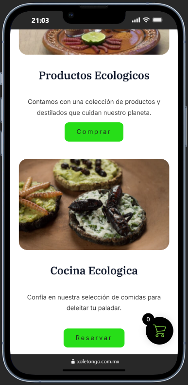 Inicio